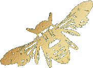 Gold silhouette of a bee with detailed wings on a dark green background.
